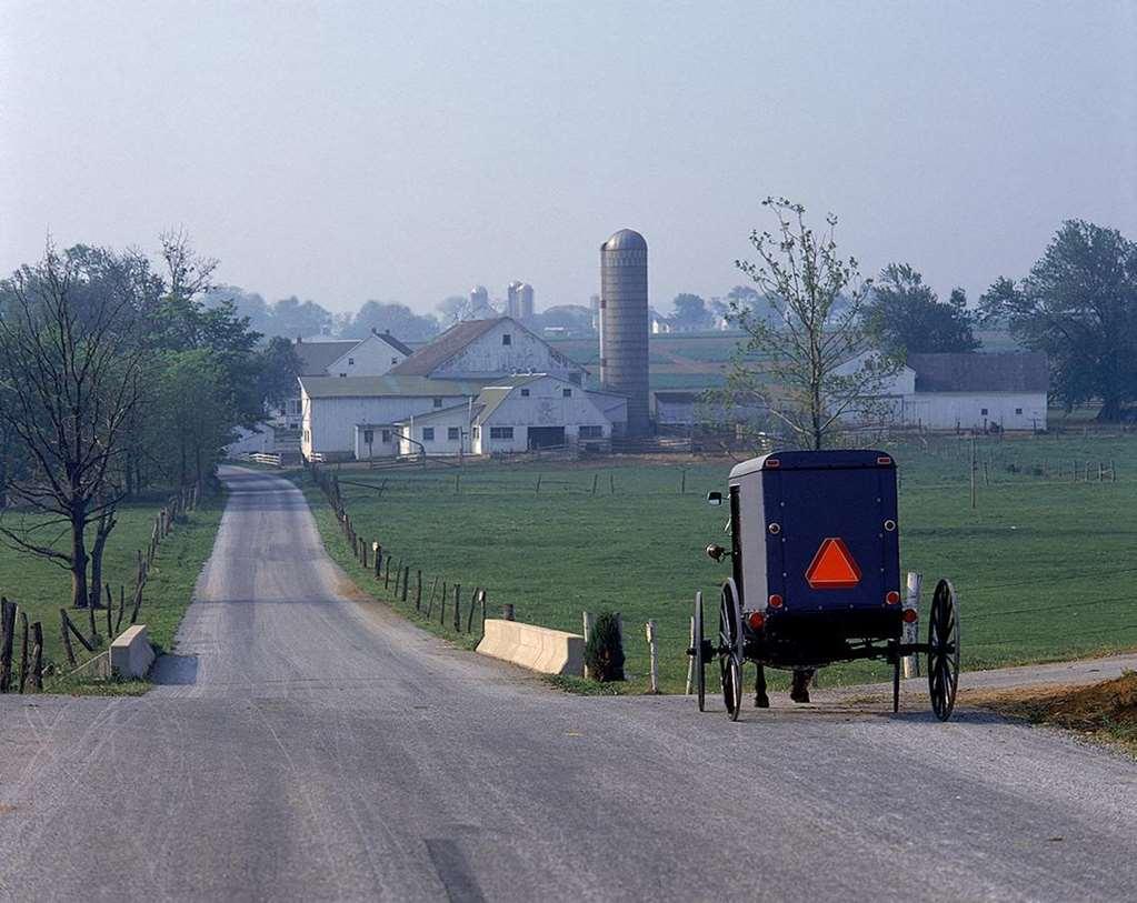 The Inn At Leola Village, A Historic Hotel Of America Bekvemmeligheter bilde